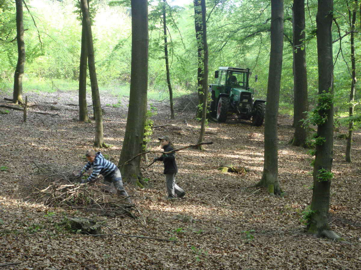 2011-05-07 KPF Wald 08.jpg